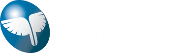 Calman Technology logo